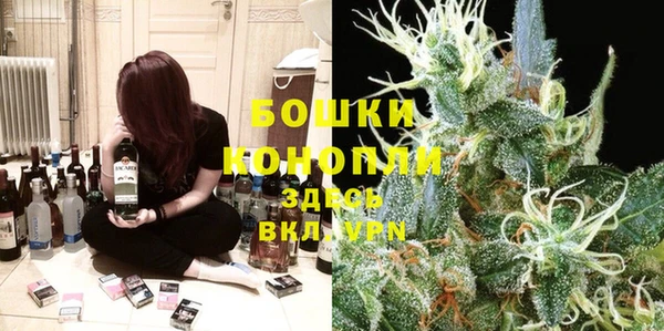 мдпв Верея