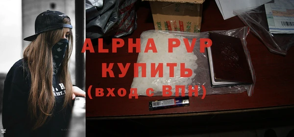 ECSTASY Волоколамск