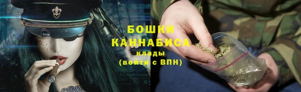 мдпв Верея