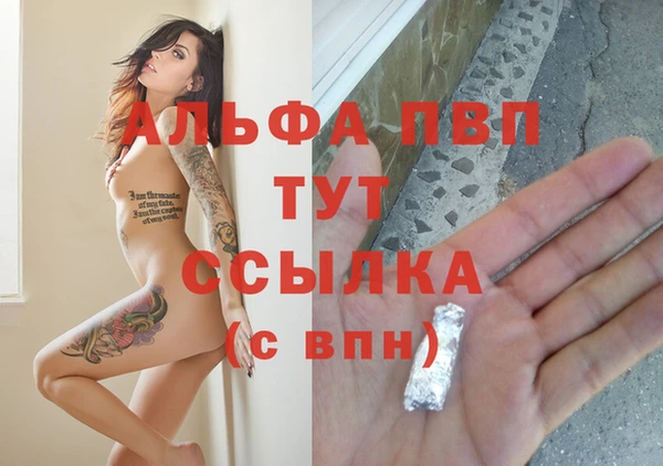 ECSTASY Волоколамск