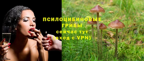 ECSTASY Волоколамск