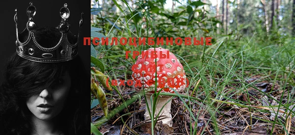 метадон Волосово